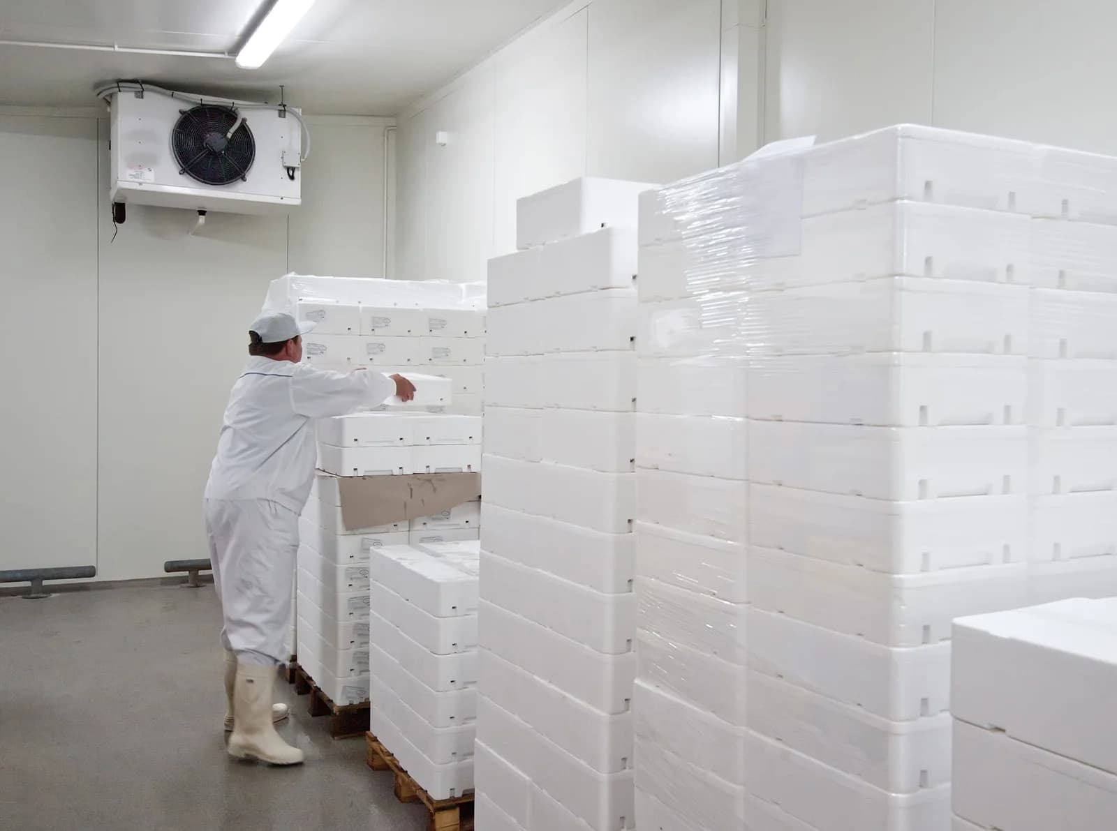 Koelmonteur controleert de temperatuurregeling van een vriesinstallatie